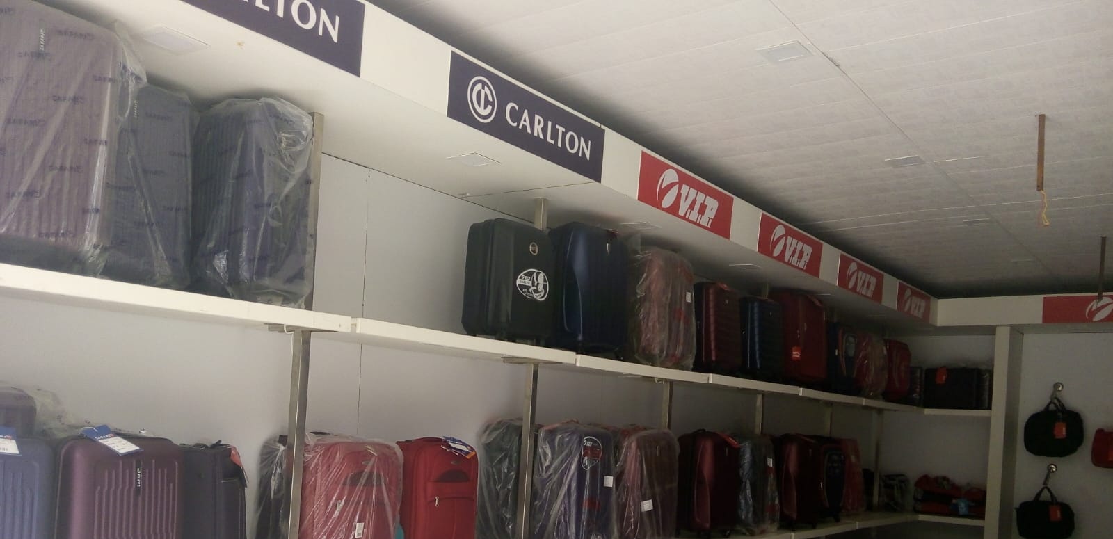 Luggage displays and ceiling, VIP luggage showroom, Chandigarh